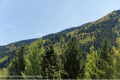 39 Roaring Fork Drive, Aspen, CO 81611 - Photo 6