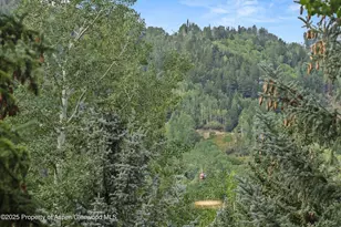 926 Waters Ave, Aspen, CO 81611 - Photo 14