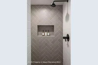 155 Nighthawk Drive, Aspen, CO 81611 - Photo 26