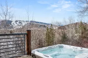 153 Herron Hollow Dr, Aspen, CO 81611 - Photo 38