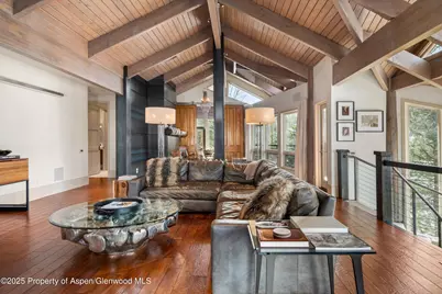 153 Herron Hollow Drive, Aspen, CO 81611 - Photo 6