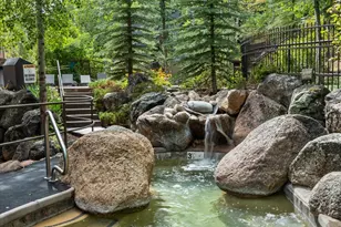 600 Carriage Way, Snowmass Village, CO 81615 - Photo 32