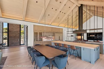 245 Slalom Path, Aspen, CO 81611 - Photo 14