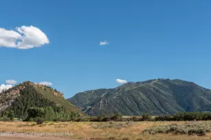 245 Slalom Path, Aspen, CO 81611 - Photo 32