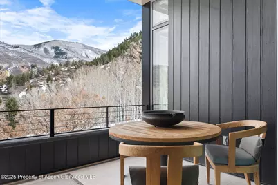 276 Coach Road, Aspen, CO 81611 - Photo 44