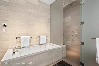 276 Coach Road, Aspen, CO 81611 - Photo 22