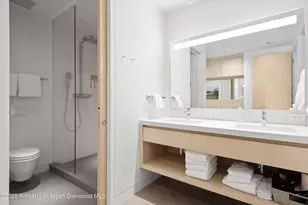 276 Coach Rd, Aspen, CO 81611 - Photo 36