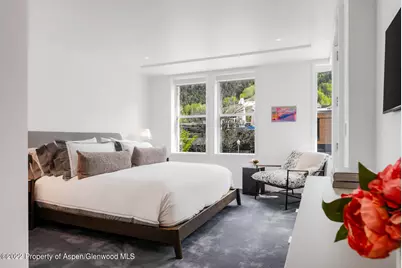 508 E Cooper Avenue #Unit 201, Aspen, CO 81611 - Photo 28