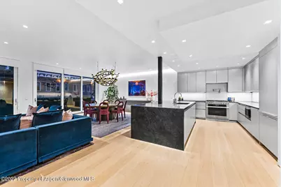 508 E Cooper Avenue #Unit 201, Aspen, CO 81611 - Photo 16