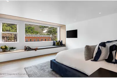 508 E Cooper Avenue #Unit 201, Aspen, CO 81611 - Photo 24