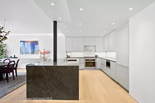 508 E Cooper Ave, Aspen, CO 81611 - Photo 18