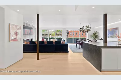 508 E Cooper Avenue #Unit 201, Aspen, CO 81611 - Photo 20