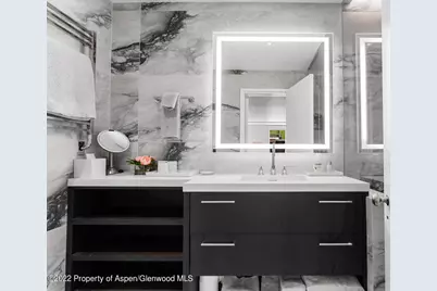 508 E Cooper Avenue #Unit 201, Aspen, CO 81611 - Photo 30