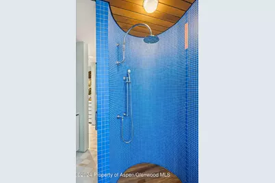 701 Gibson Avenue, Aspen, CO 81611 - Photo 20