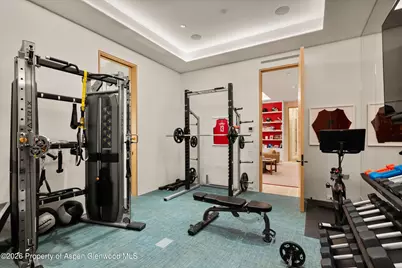 89 Slalom Path, Aspen, CO 81611 - Photo 106