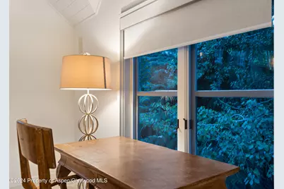 901 Ute Avenue, Aspen, CO 81611 - Photo 18