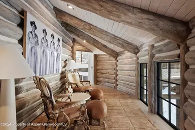 931 N Hayden Road, Aspen, CO 81611 - Photo 20