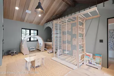 931 N Hayden Road, Aspen, CO 81611 - Photo 32