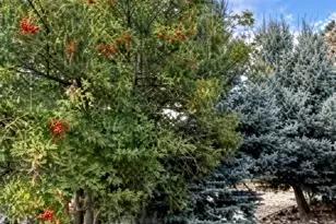 228 N 7th St, New Castle, CO 81647 - Photo 16