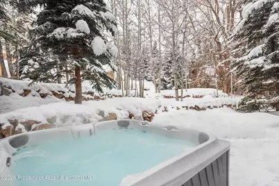 971 Ute Avenue, Aspen, CO 81611 - Photo 54