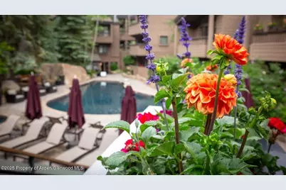 610 S West End Street #D206, Aspen, CO 81611 - Photo 46