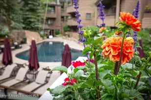 610 S West End St, Aspen, CO 81611 - Photo 46