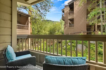610 S West End Street #D206, Aspen, CO 81611 - Photo 14