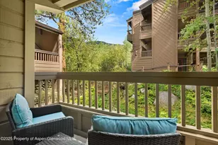610 S West End St, Aspen, CO 81611 - Photo 14