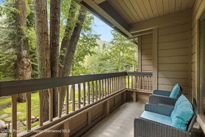 610 S West End Street #D206, Aspen, CO 81611 - Photo 12