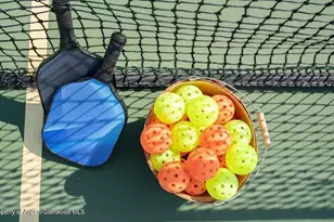 610 S West End St, Aspen, CO 81611 - Photo 48