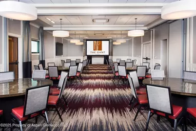 610 S West End Street #D206, Aspen, CO 81611 - Photo 40