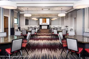 610 S West End St, Aspen, CO 81611 - Photo 40