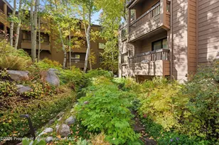 610 S West End St, Aspen, CO 81611 - Photo 26