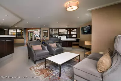 610 S West End Street #D206, Aspen, CO 81611 - Photo 42