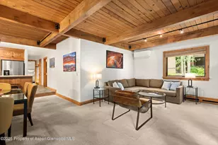 610 S West End St, Aspen, CO 81611 - Photo 6