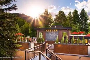 610 S West End St, Aspen, CO 81611 - Photo 50