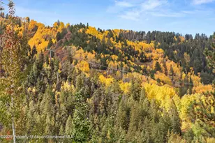 610 S West End St, Aspen, CO 81611 - Photo 22