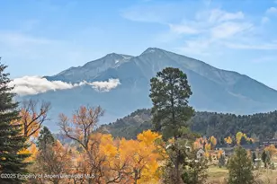 289 Sweet Grass, Carbondale, CO 81623 - Photo 8