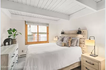 901 E Hyman Avenue #14, Aspen, CO 81611 - Photo 10