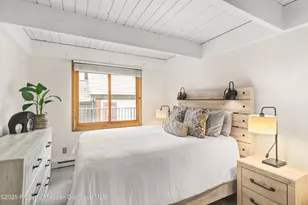 901 E Hyman Ave, Aspen, CO 81611 - Photo 10