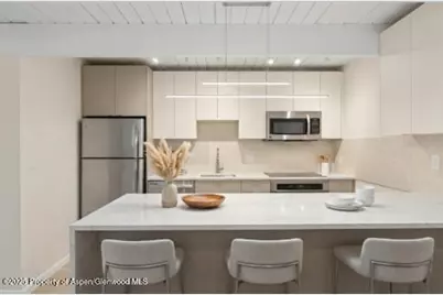 901 E Hyman Avenue #14, Aspen, CO 81611 - Photo 8