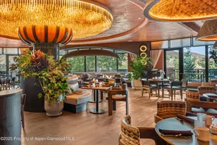 130 Wood Rd, Snowmass Village, CO 81615 - Photo 12