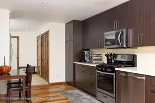 366 Snowmass Club Cir, Snowmass Village, CO 81615 - Photo 8