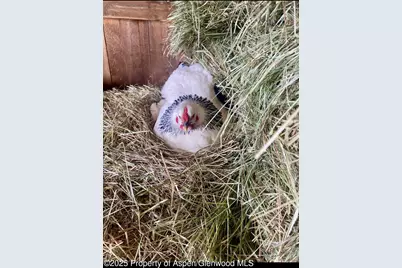 545 Knoll Avenue, Craig, CO 81625 - Photo 72