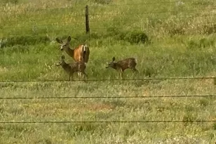 545 Knoll Ave, Craig, CO 81625 - Photo 74