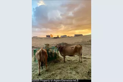 545 Knoll Avenue, Craig, CO 81625 - Photo 76