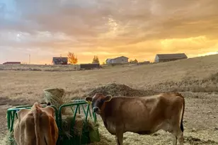 545 Knoll Ave, Craig, CO 81625 - Photo 76