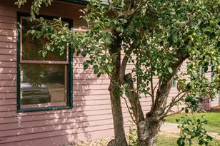 333 W Main St, Aspen, CO 81611 - Photo 36