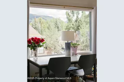 333 W Main Street #B2, Aspen, CO 81611 - Photo 12