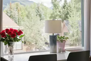 333 W Main St, Aspen, CO 81611 - Photo 12